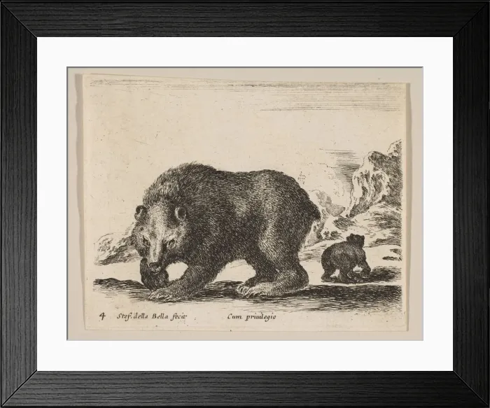 Framed Print : Plate 4: bear, from Various animals (Diversi animali), ca. 1641 Framed Print : Plate 4: bear, from Various animals (Diversi animali), ca. 1641