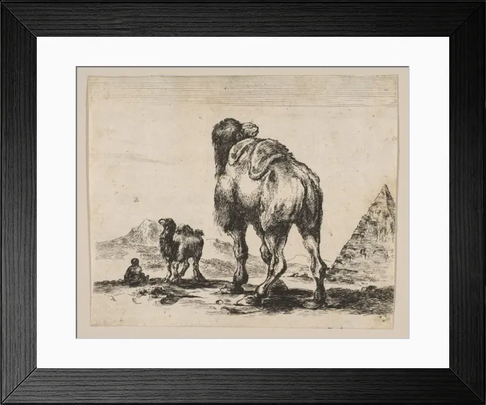 Framed Print : Plate 18: camel viewed from behind with pyramid at right, from Various animals (Di Framed Print : Plate 18: camel viewed from behind with pyramid at right, from Various animals (Di