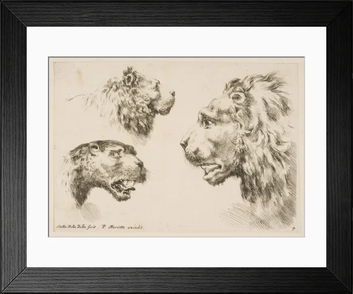 Framed Print : Heads of Three Lions, ca. 1641. Creator: Stefano della Bella Framed Print : Heads of Three Lions, ca. 1641. Creator: Stefano della Bella