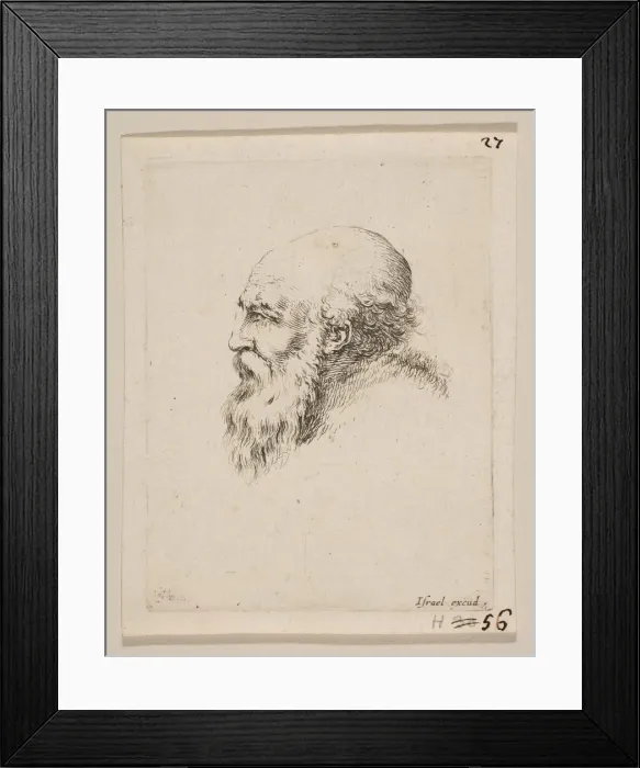 Framed Print : Head of a Bald and Bearded Old Man in Profile, from Various heads and figures Framed Print : Head of a Bald and Bearded Old Man in Profile, from Various heads and figures