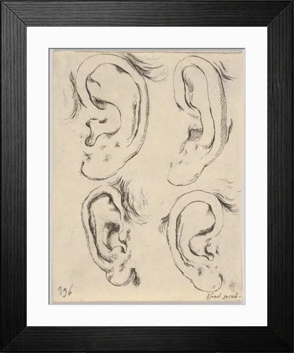 Framed Print : Plate 5: four ears, from The Book for Learning to Draw (Livre pour apprendre à Framed Print : Plate 5: four ears, from The Book for Learning to Draw (Livre pour apprendre à