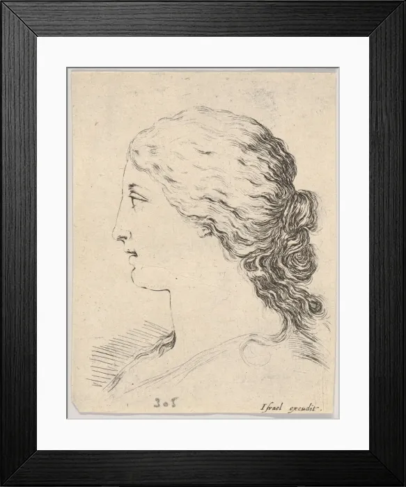 Framed Print : Plate 14: head of a woman, in profile, from The Book for Learning to Draw (Livre pou Framed Print : Plate 14: head of a woman, in profile, from The Book for Learning to Draw (Livre pou