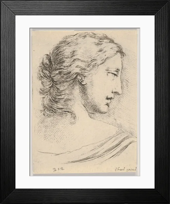 Framed Print : Plate 5: head of a woman, turned in profile to the right Framed Print : Plate 5: head of a woman, turned in profile to the right