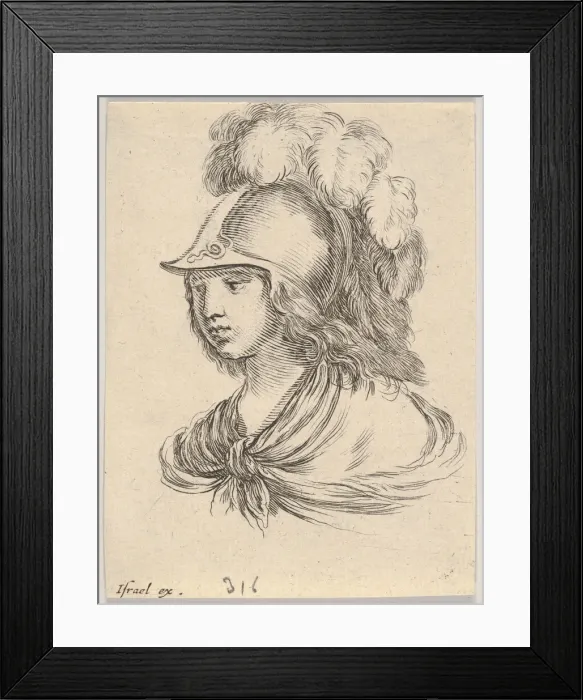 Framed Print : Plate 9: bust of Minerva, wearing a helmet with feathers, looking towards the left Framed Print : Plate 9: bust of Minerva, wearing a helmet with feathers, looking towards the left