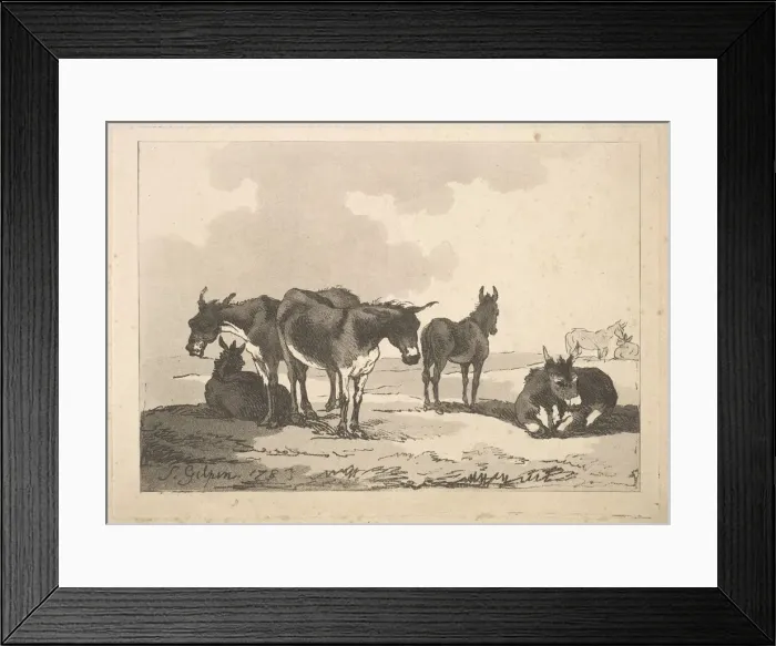 Framed Print : A Group of Five Donkeys, Three Standing, Two Lying, 1783-87. Creator: Thomas Rowlandson Framed Print : A Group of Five Donkeys, Three Standing, Two Lying, 1783-87. Creator: Thomas Rowlandson