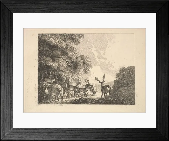 Framed Print : A Group of Stags Drinking, 1784-88. Creator: Thomas Rowlandson Framed Print : A Group of Stags Drinking, 1784-88. Creator: Thomas Rowlandson