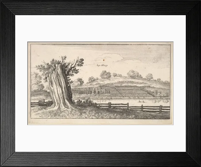 Framed Print : Albury with tree-stump in foreground, 1625-77. Creator: Wenceslaus Hollar Framed Print : Albury with tree-stump in foreground, 1625-77. Creator: Wenceslaus Hollar