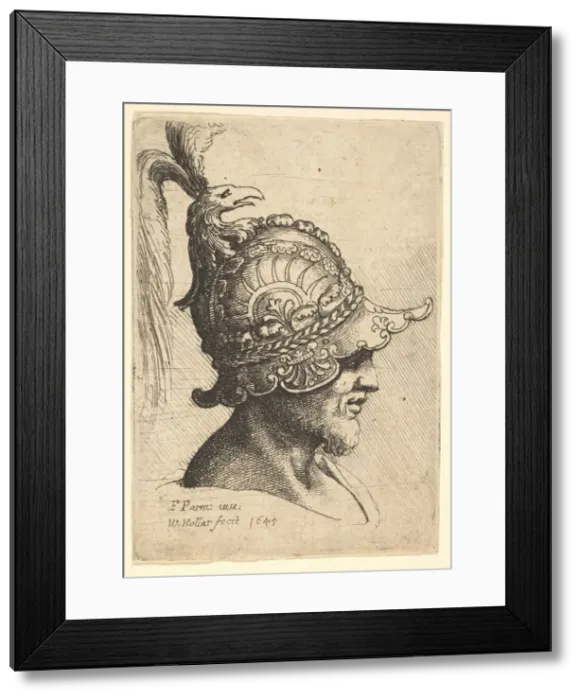 Framed Print : Helmeted Head wtih Birds Head Crest, 1645. Creator: Wenceslaus Hollar Framed Print : Helmeted Head wtih Birds Head Crest, 1645. Creator: Wenceslaus Hollar