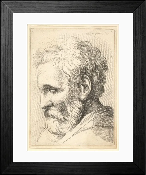 Framed Print : Bearded old man, 1645. Creator: Wenceslaus Hollar Framed Print : Bearded old man, 1645. Creator: Wenceslaus Hollar
