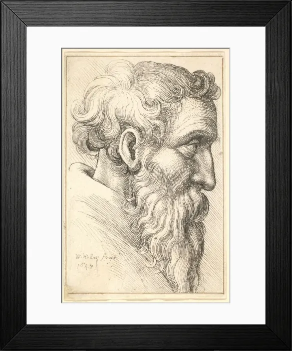 Framed Print : Bearded old man in profile to right, 1645. Creator: Wenceslaus Hollar Framed Print : Bearded old man in profile to right, 1645. Creator: Wenceslaus Hollar