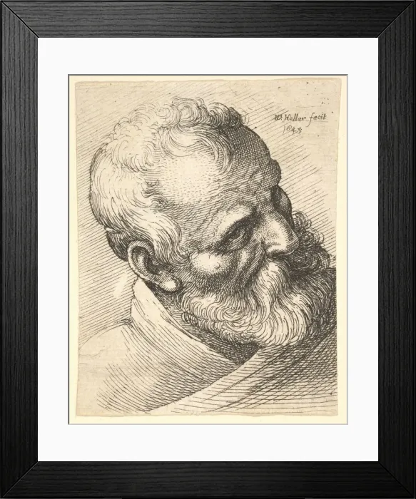 Framed Print : Bearded old man with a tilted head, 1645. Creator: Wenceslaus Hollar Framed Print : Bearded old man with a tilted head, 1645. Creator: Wenceslaus Hollar