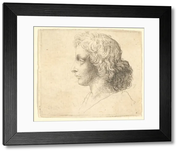 Framed Print : Head of young man with long hair in profile to the left, 1644-52 Framed Print : Head of young man with long hair in profile to the left, 1644-52