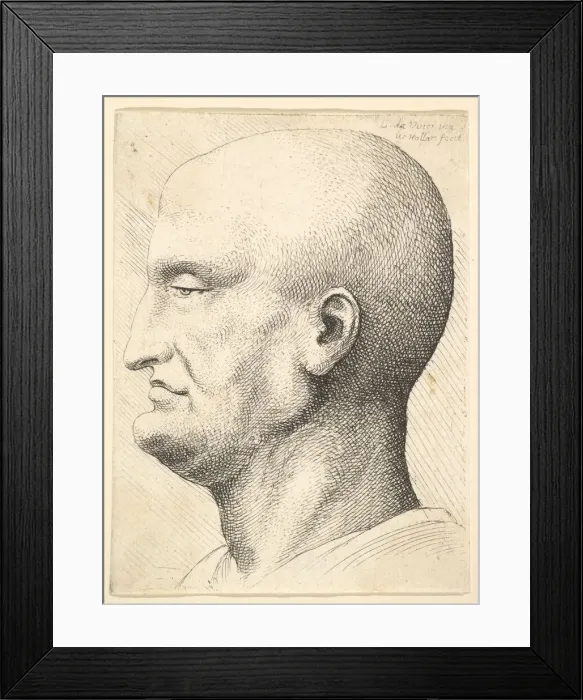Framed Print : Head of a bald man in profile to left, 1644-52. Creator: Wenceslaus Hollar Framed Print : Head of a bald man in profile to left, 1644-52. Creator: Wenceslaus Hollar