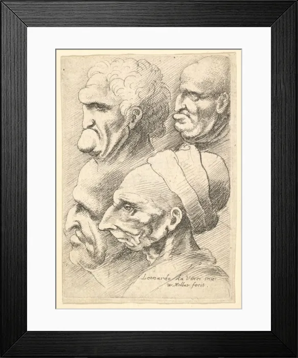 Framed Print : Four grotesque heads in profile to left, 1625-77. Creator: Wenceslaus Hollar Framed Print : Four grotesque heads in profile to left, 1625-77. Creator: Wenceslaus Hollar