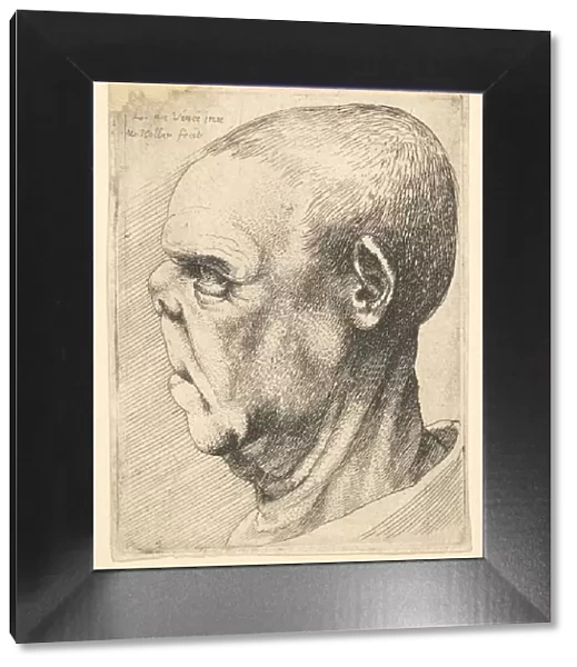 Grotesque old man with flattened nose in profile to left, 1625-77