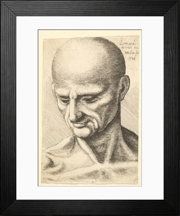 Framed Print : Head of a bald, sinewy man looking downwards, 1648. Creator: Wenceslaus Hollar Framed Print : Head of a bald, sinewy man looking downwards, 1648. Creator: Wenceslaus Hollar