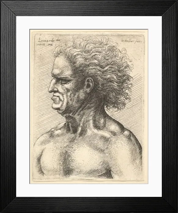 Framed Print : Head of a muscular old man in profile to left with flowing hair, 1625-77 Framed Print : Head of a muscular old man in profile to left with flowing hair, 1625-77