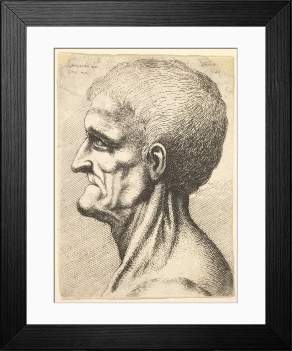 Framed Print : Head of a toothless man with bare, sinewy neck in profile to left, 1648 Framed Print : Head of a toothless man with bare, sinewy neck in profile to left, 1648