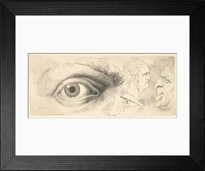 Framed Print : Two eyes and two heads, 1644-52. Creator: Wenceslaus Hollar Framed Print : Two eyes and two heads, 1644-52. Creator: Wenceslaus Hollar