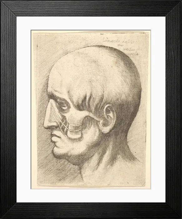 Framed Print : Male head in profile to left with muscles exposed, 1660. Creator: Wenceslaus Hollar Framed Print : Male head in profile to left with muscles exposed, 1660. Creator: Wenceslaus Hollar