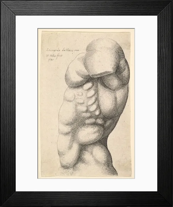 Framed Print : Male torso from neck to hip in profile to left, 1645. Creator: Wenceslaus Hollar Framed Print : Male torso from neck to hip in profile to left, 1645. Creator: Wenceslaus Hollar