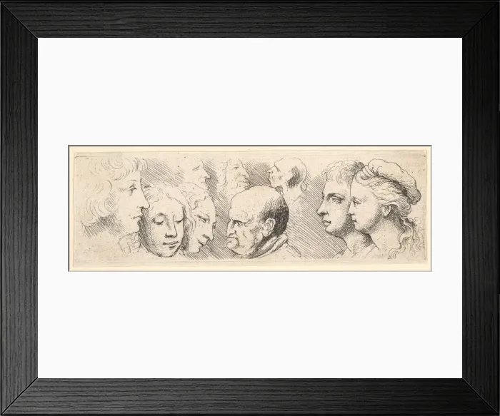 Framed Print : Head studies, 1644-52. Creator: Wenceslaus Hollar Framed Print : Head studies, 1644-52. Creator: Wenceslaus Hollar