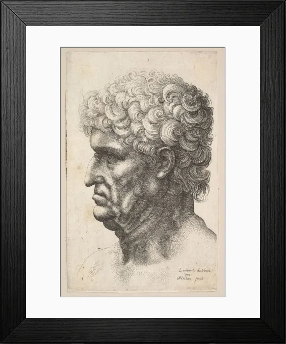 Framed Print : Head of a man with thick curly hair in profile to the left, 1640-49 Framed Print : Head of a man with thick curly hair in profile to the left, 1640-49