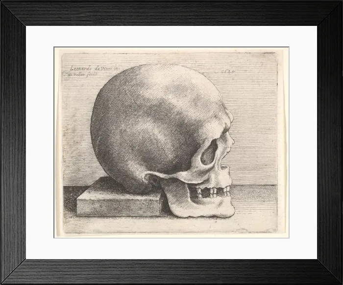 Framed Print : Skull in profile to right, 1645. Creator: Wenceslaus Hollar Framed Print : Skull in profile to right, 1645. Creator: Wenceslaus Hollar