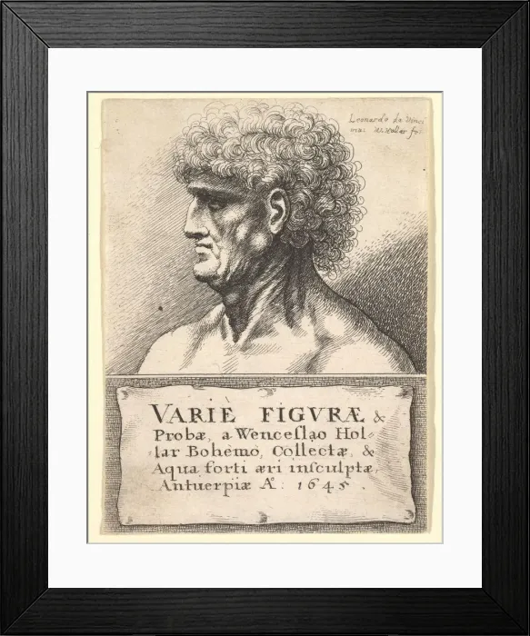 Framed Print : Title-page to Varie Figurae& Probae, 1645. Creator: Wenceslaus Hollar Framed Print : Title-page to Varie Figurae& Probae, 1645. Creator: Wenceslaus Hollar