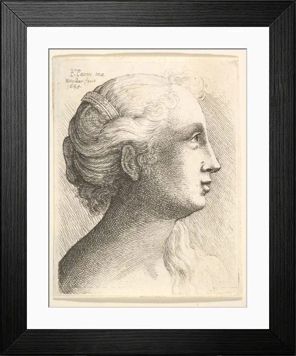 Framed Print : Head of a young woman in profile to right, 1645. Creator: Wenceslaus Hollar Framed Print : Head of a young woman in profile to right, 1645. Creator: Wenceslaus Hollar