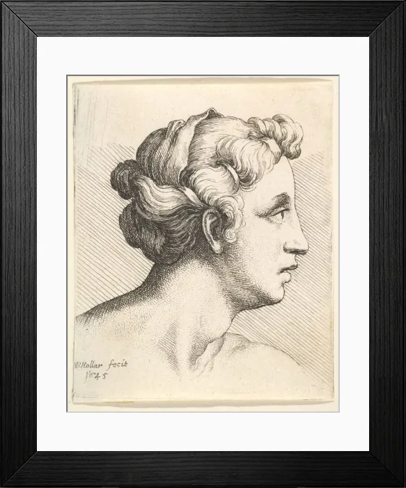 Framed Print : Woman with a bound tress of hair in profile to right, 1645. Creator: Wenceslaus Hollar Framed Print : Woman with a bound tress of hair in profile to right, 1645. Creator: Wenceslaus Hollar