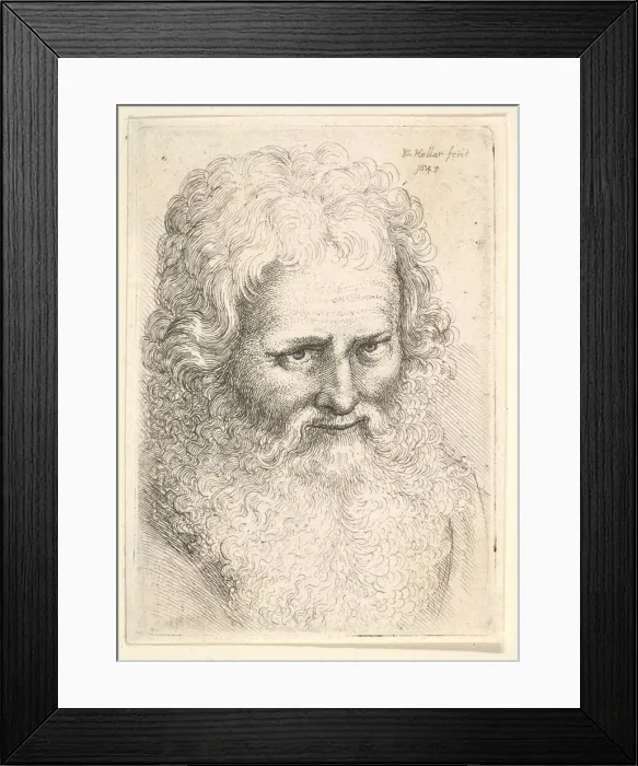 Framed Print : Head of an old man with a large beard, 1645. Creator: Wenceslaus Hollar Framed Print : Head of an old man with a large beard, 1645. Creator: Wenceslaus Hollar