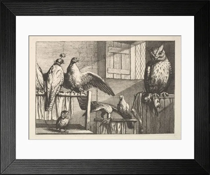 Framed Print : Hawks and owls, 1625-77. Creator: Wenceslaus Hollar Framed Print : Hawks and owls, 1625-77. Creator: Wenceslaus Hollar