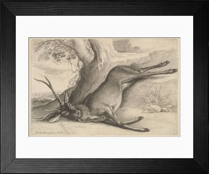 Framed Print : Dead stag, 1646. Creator: Wenceslaus Hollar Framed Print : Dead stag, 1646. Creator: Wenceslaus Hollar