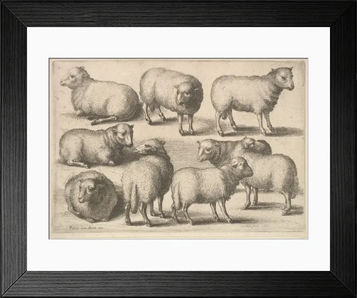 Framed Print : Nine sheep, 1646. Creator: Wenceslaus Hollar Framed Print : Nine sheep, 1646. Creator: Wenceslaus Hollar
