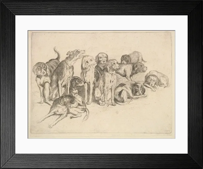 Framed Print : Eleven Hounds, 1625-77. Creator: Wenceslaus Hollar Framed Print : Eleven Hounds, 1625-77. Creator: Wenceslaus Hollar