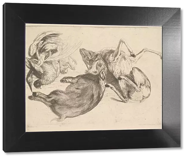 Boar, deer, heron and other game, 1625-77. Creator: Wenceslaus Hollar