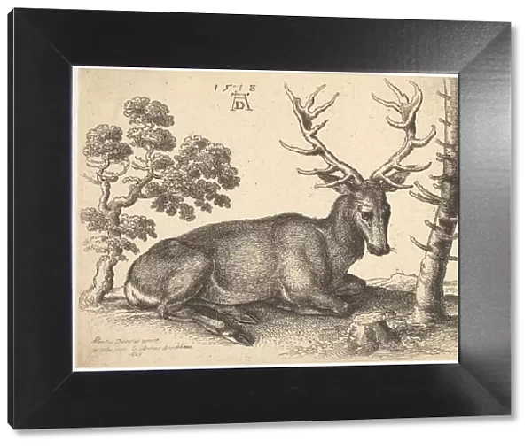 Stag lying to right, 1649. Creator: Wenceslaus Hollar