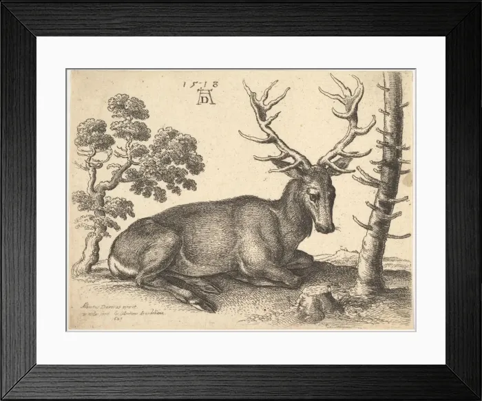 Framed Print : Stag lying to right, 1649. Creator: Wenceslaus Hollar Framed Print : Stag lying to right, 1649. Creator: Wenceslaus Hollar