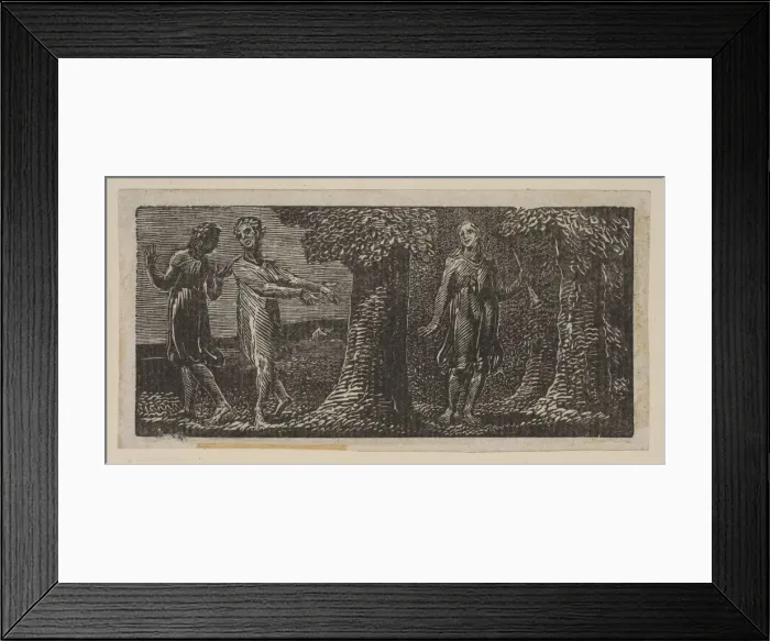 Framed Print : Colinet Mocked by Two Boys, from Thorntons Pastorals of Virgil, 1821 Framed Print : Colinet Mocked by Two Boys, from Thorntons Pastorals of Virgil, 1821