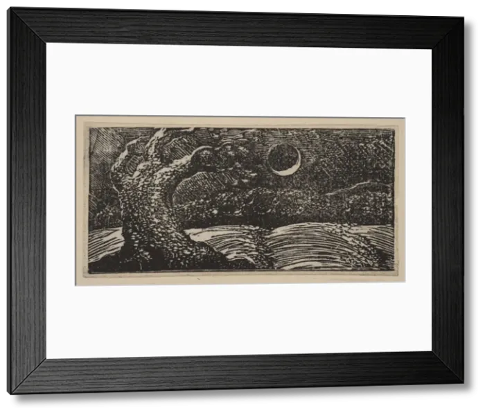 Framed Print : Blasted Trees and Flattened Crops, from Thorntons Pastorals of Virgil, 1821 Framed Print : Blasted Trees and Flattened Crops, from Thorntons Pastorals of Virgil, 1821
