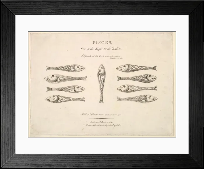 Framed Print : Pisces: Hogarths Quadrille Fish, ca. 1730. Creator: Unknown Framed Print : Pisces: Hogarths Quadrille Fish, ca. 1730. Creator: Unknown