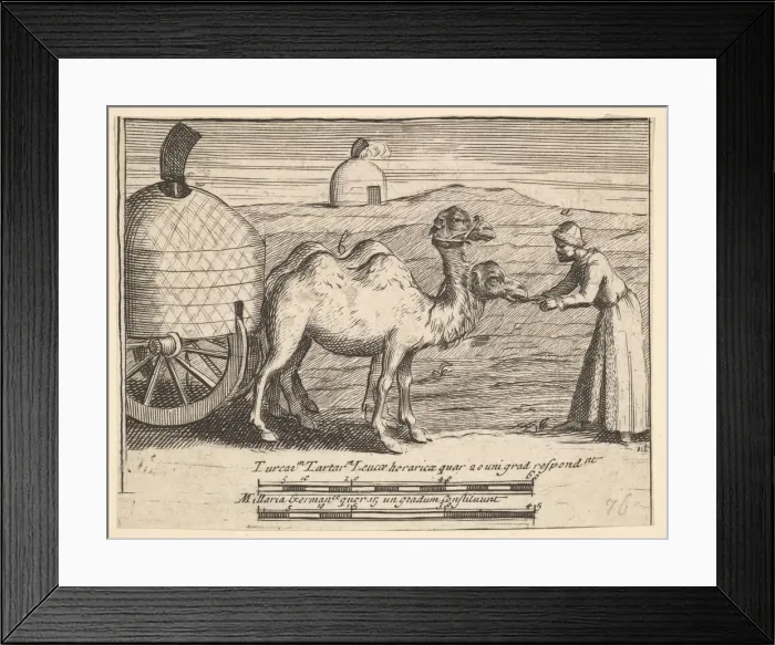 Framed Print : Two Dromedaries (Aubry de La Mottrayes Travels throughout Europe Framed Print : Two Dromedaries (Aubry de La Mottrayes Travels throughout Europe