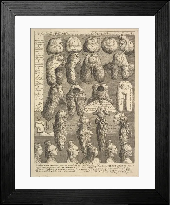 Framed Print : The Five Orders of Periwigs, 1761. Creator: William Hogarth Framed Print : The Five Orders of Periwigs, 1761. Creator: William Hogarth