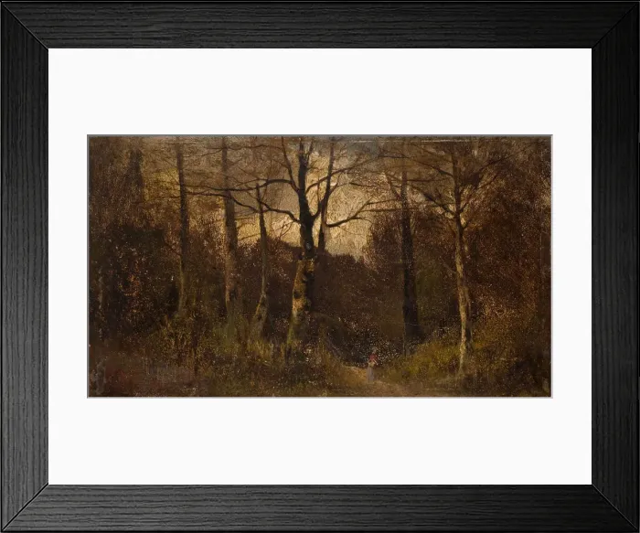 Framed Print : Path through a Wood, 1900. Creator: Unknown Framed Print : Path through a Wood, 1900. Creator: Unknown