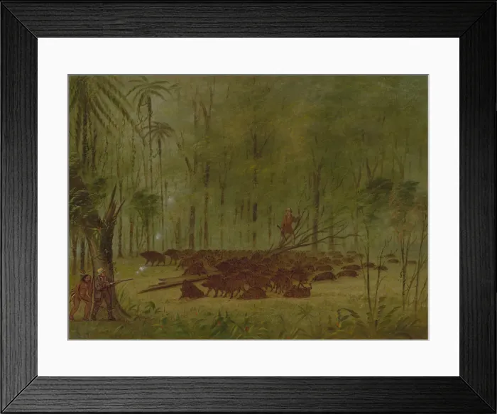 Framed Print : A Fight with Peccaries - Caribbe, 1854 / 1869. Creator: George Catlin Framed Print : A Fight with Peccaries - Caribbe, 1854 / 1869. Creator: George Catlin