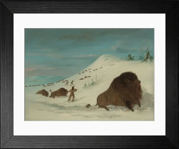 Framed Print : Buffalo Lancing in the Snow Drifts - Sioux, 1861 / 1869. Creator: George Catlin Framed Print : Buffalo Lancing in the Snow Drifts - Sioux, 1861 / 1869. Creator: George Catlin