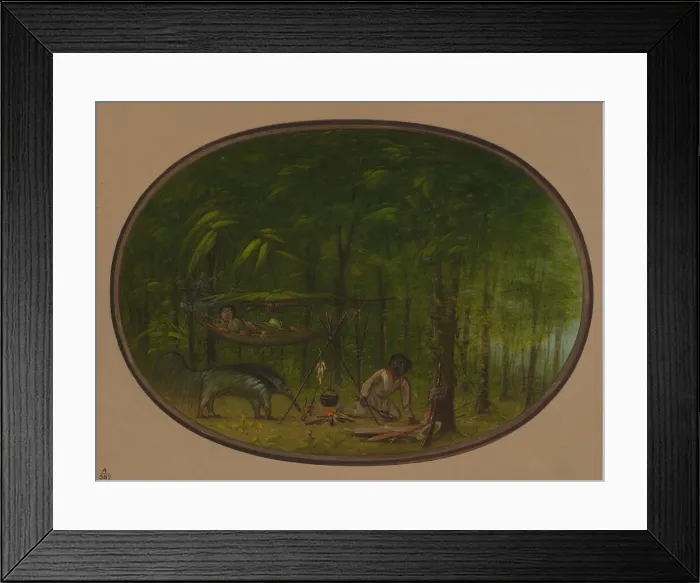 Framed Print : The Great Ant-Eater, 1854 / 1869. Creator: George Catlin Framed Print : The Great Ant-Eater, 1854 / 1869. Creator: George Catlin