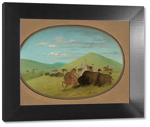 Buffalo Chase - Bulls Protecting the Calves, 1861  /  1869. Creator: George Catlin