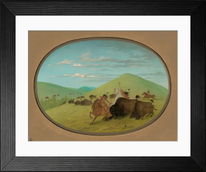 Framed Print : Buffalo Chase - Bulls Protecting the Calves, 1861 / 1869. Creator: George Catlin Framed Print : Buffalo Chase - Bulls Protecting the Calves, 1861 / 1869. Creator: George Catlin